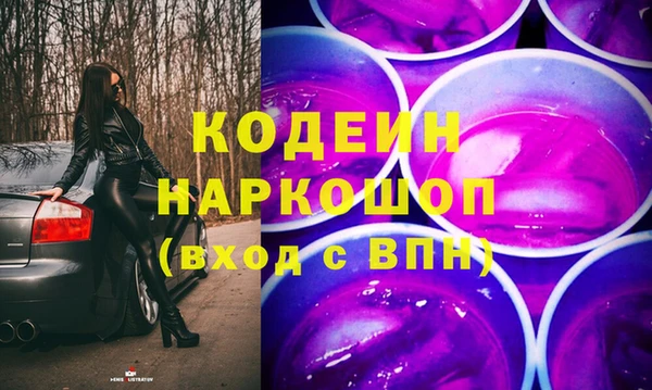 молекула духа Богородицк