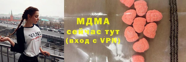 молекула духа Богородицк