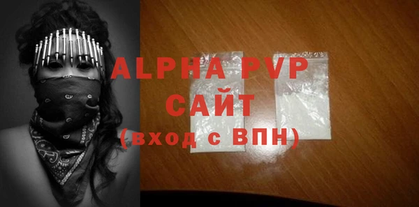 молекула духа Богородицк