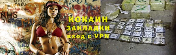 молекула духа Богородицк
