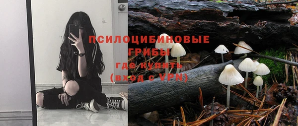 молекула духа Богородицк